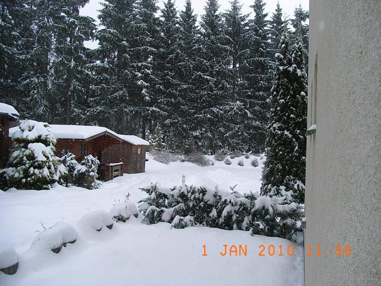 Blechleppel - Die Pension Im Harz Benneckenstein Eksteriør bilde